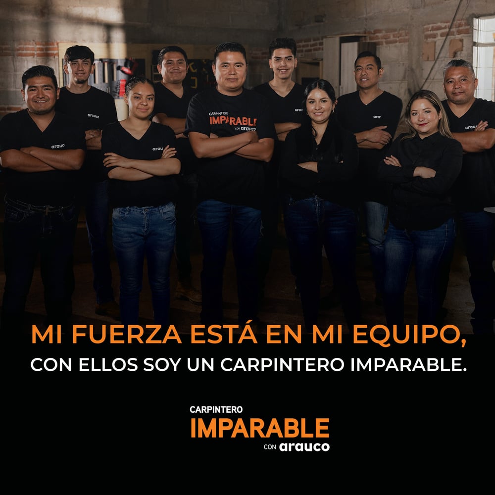 CARPINTERO IMPARABLE