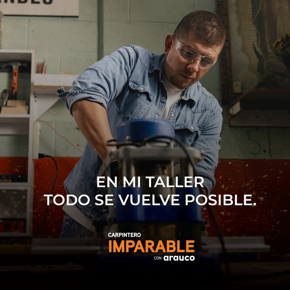 CARPINTERO IMPARABLE