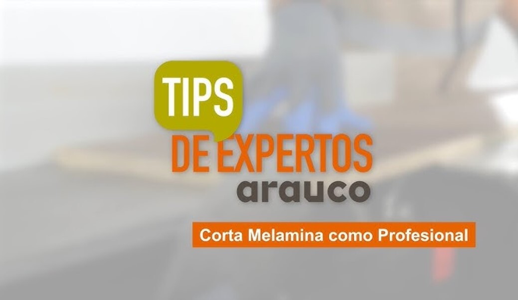 tips de expertos arauco